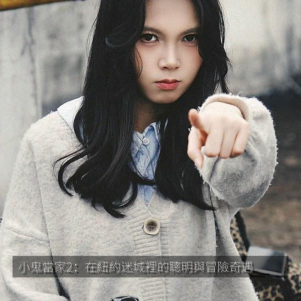 小鬼當家2：在紐約迷城裡的聰明與冒險奇遇相关影视海报