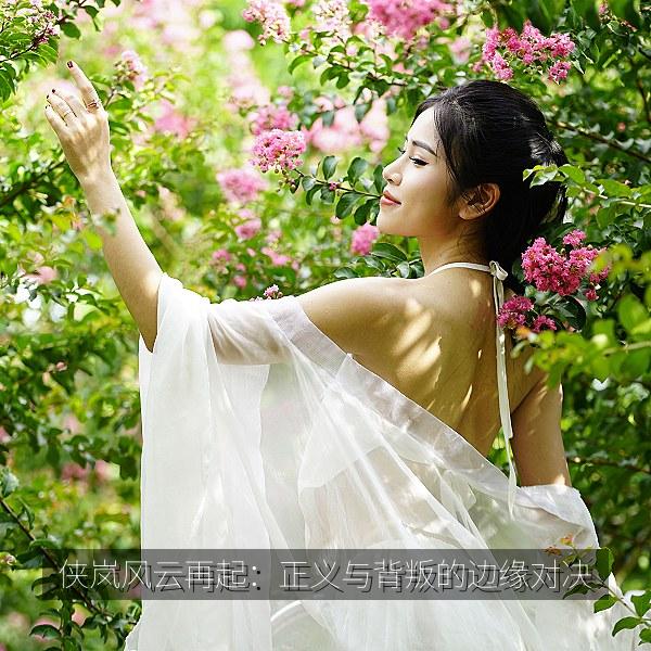 侠岚风云再起：正义与背叛的边缘对决 海报