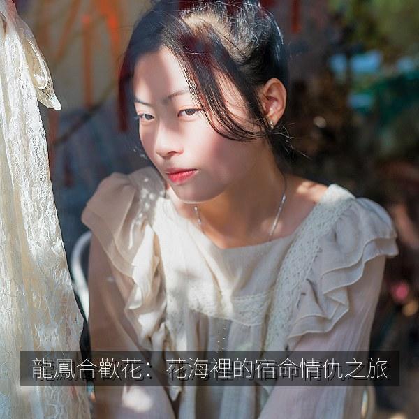 龍鳳合歡花：花海裡的宿命情仇之旅 海报