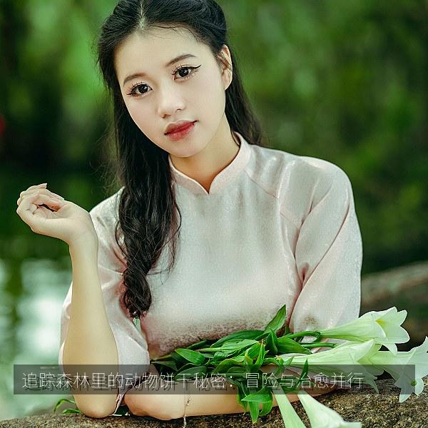 追踪森林里的动物饼干秘密：冒险与治愈并行相关影视海报