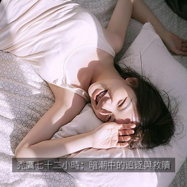 禿鷹七十二小時：暗潮中的追逐與救贖