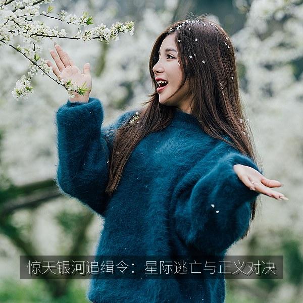 惊天银河追缉令：星际逃亡与正义对决 海报