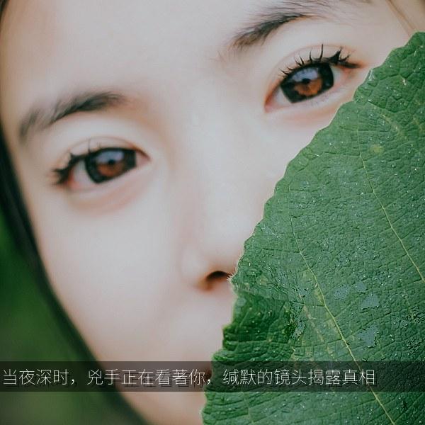 当夜深时，兇手正在看著你，缄默的镜头揭露真相