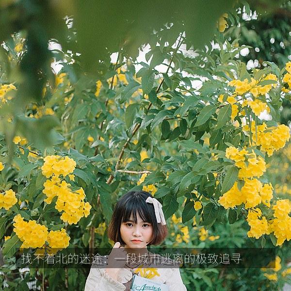找不着北的迷途：一段城市逃离的极致追寻