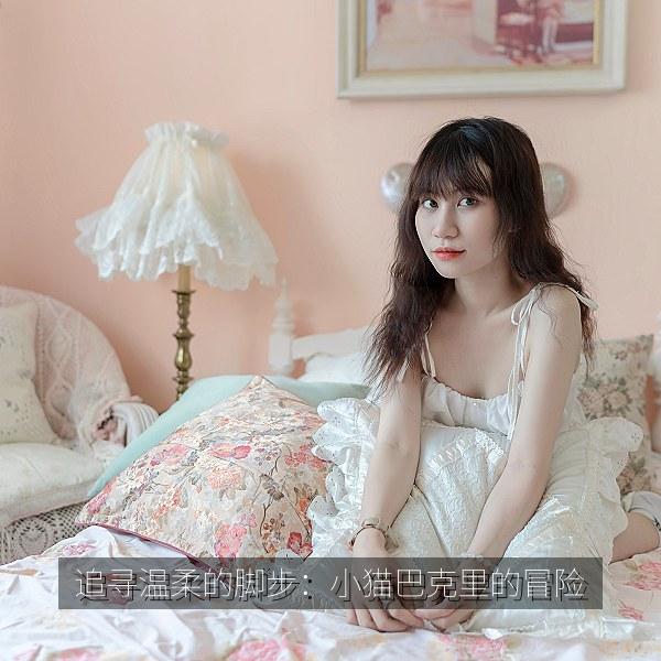 追寻温柔的脚步：小猫巴克里的冒险