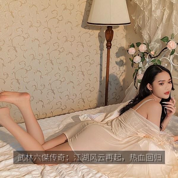 武林六傑传奇：江湖风云再起，热血回归 海报