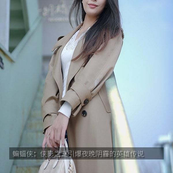蝙蝠侠:侠影之谜引爆夜晚阴霾的英雄传说 海报