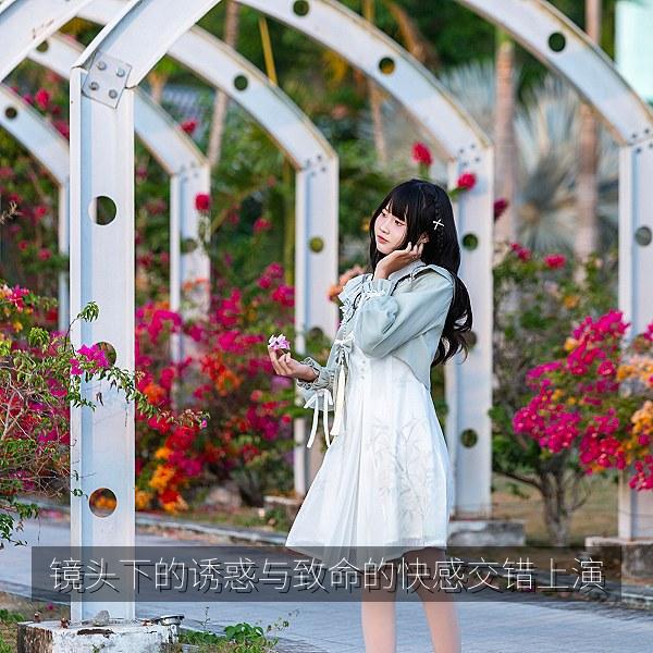 镜头下的诱惑与致命的快感交错上演 海报