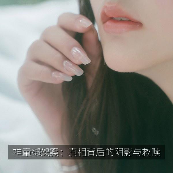 神童绑架案：真相背后的阴影与救赎 封面