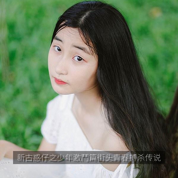 新古惑仔之少年激鬥篇街头青春搏杀传说 海报