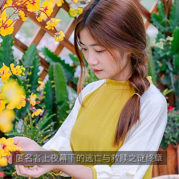 匿名者上夜幕下的逃亡与救赎之谜终章 海报