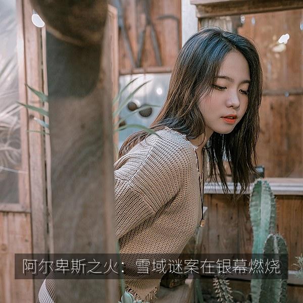 阿尔卑斯之火：雪域谜案在银幕燃烧