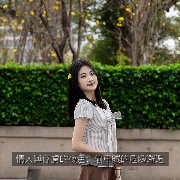 情人與俘虜的夜色：偷車賊的危險邂逅 海报