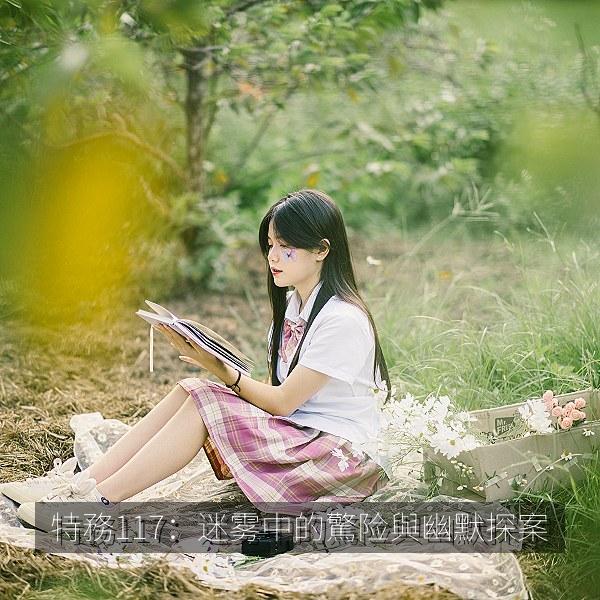 特務117：迷雾中的驚险與幽默探案 海报
