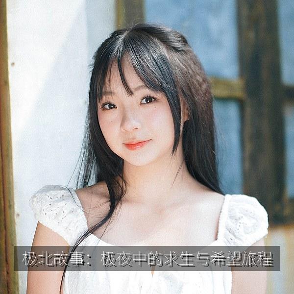 极北故事：极夜中的求生与希望旅程 海报