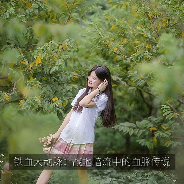 铁血大动脉：战地暗流中的血脉传说