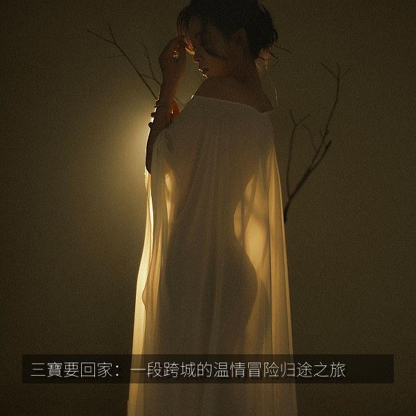三寶要回家：一段跨城的温情冒险归途之旅 海报