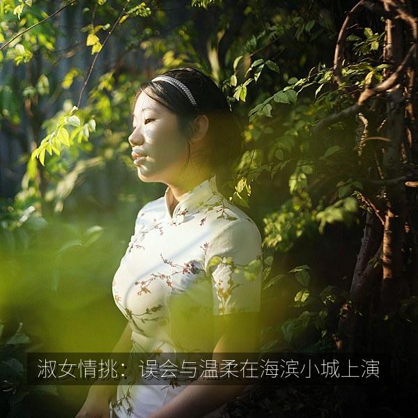 淑女情挑：误会与温柔在海滨小城上演 海报