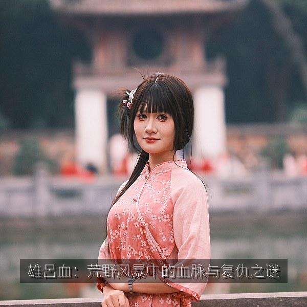 雄呂血：荒野风暴中的血脉与复仇之谜