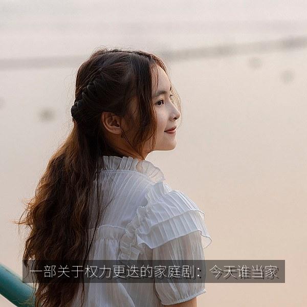 一部关于权力更迭的家庭剧：今天谁当家 海报