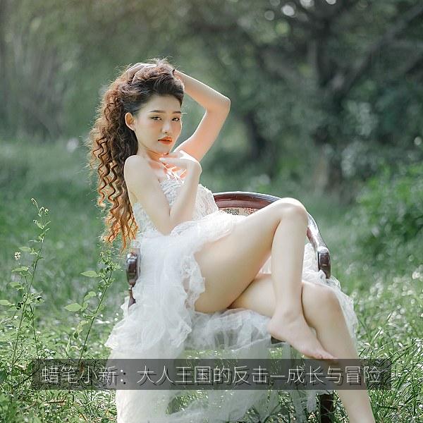蜡笔小新：大人王国的反击—成长与冒险