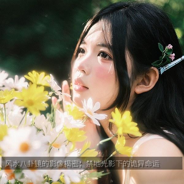 风水八卦镜的影像揭密：禁地光影下的诡异命运 海报