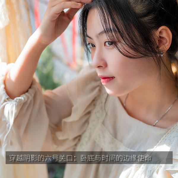 穿越阴影的六号关口：卧底与时间的边缘使命 海报
