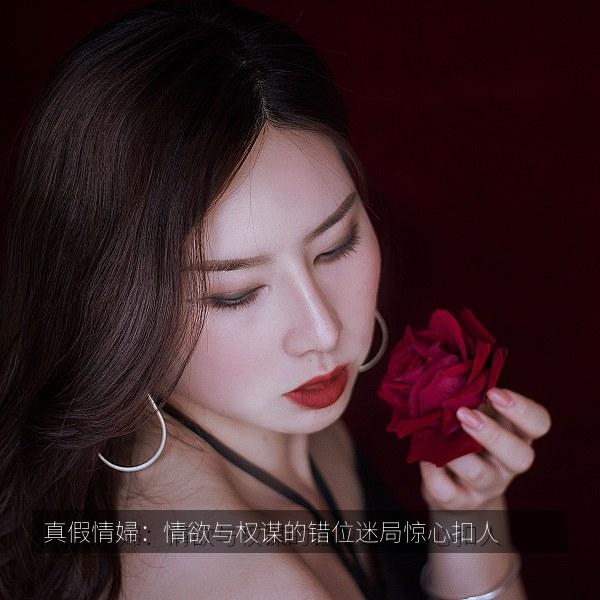 真假情婦：情欲与权谋的错位迷局惊心扣人 海报