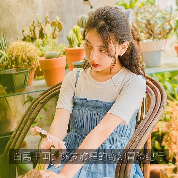 白馬王国：逐梦旅程的奇幻冒险纪行 海报