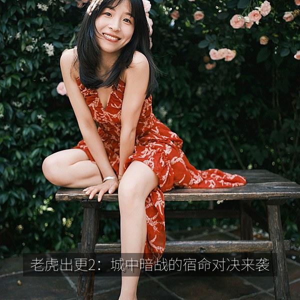 老虎出更2：城中暗战的宿命对决来袭 海报