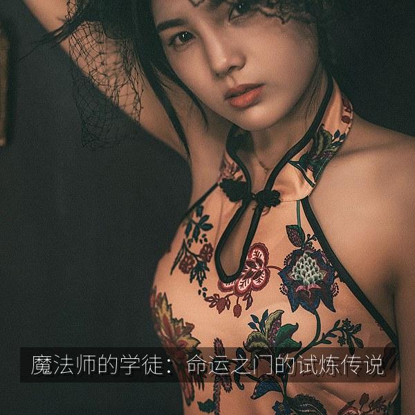 魔法师的学徒：命运之门的试炼传说 海报