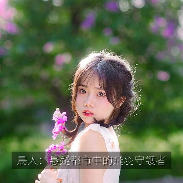 鳥人：悬疑都市中的飛羽守護者
