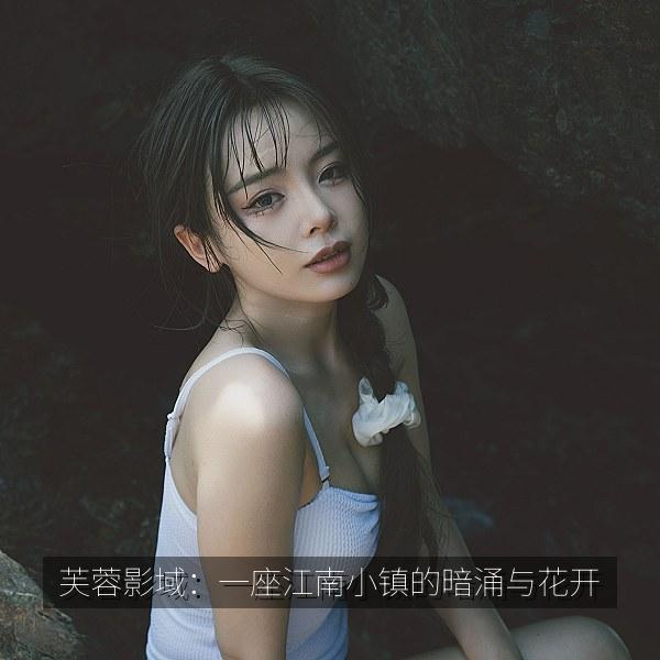 芙蓉影域：一座江南小镇的暗涌与花开 海报