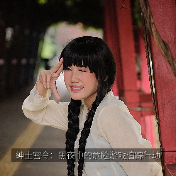紳士密令：黑夜中的危险游戏追踪行动