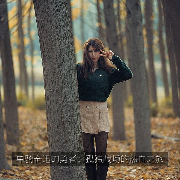 单骑奋迅的勇者：孤独战场的热血之旅 海报