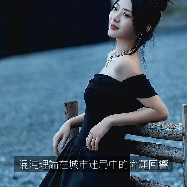 混沌理論在城市迷局中的命運回響 海报