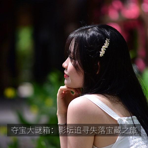 夺宝大谜箱：影坛追寻失落宝藏之旅 海报