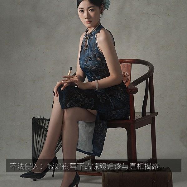 不法侵入：城郊夜幕下的惊魂追逐与真相揭露