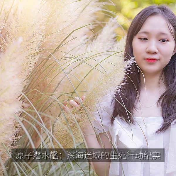 原子潜水艦：深海迷域的生死行动纪实