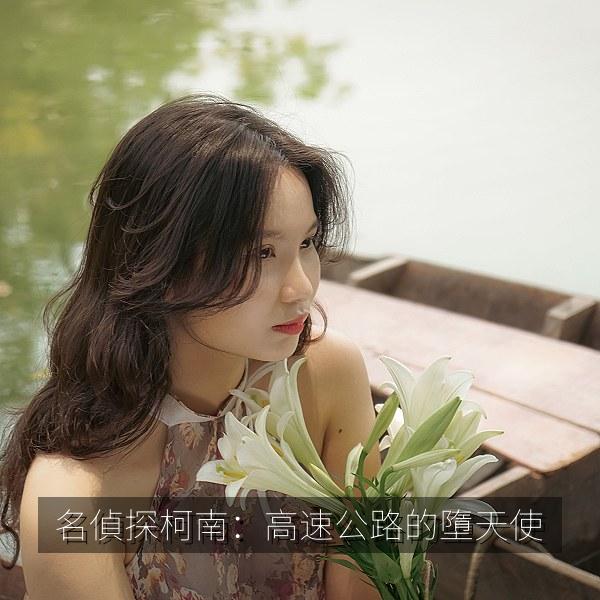 名偵探柯南：高速公路的墮天使相关影视海报