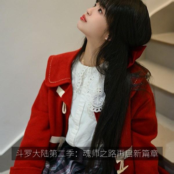 斗罗大陆第二季：魂师之路再启新篇章 海报