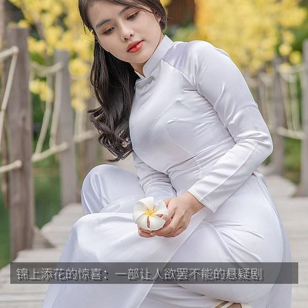 锦上添花的惊喜：一部让人欲罢不能的悬疑剧