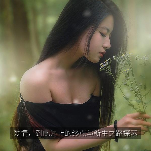 爱情，到此为止的终点与新生之路探索