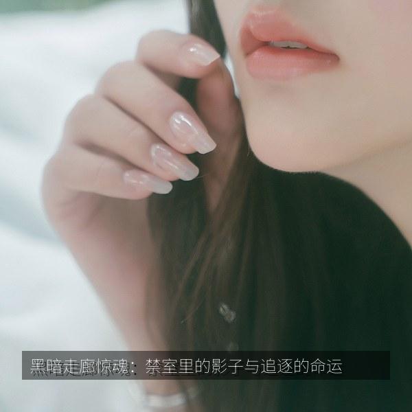 黑暗走廊惊魂：禁室里的影子与追逐的命运 海报
