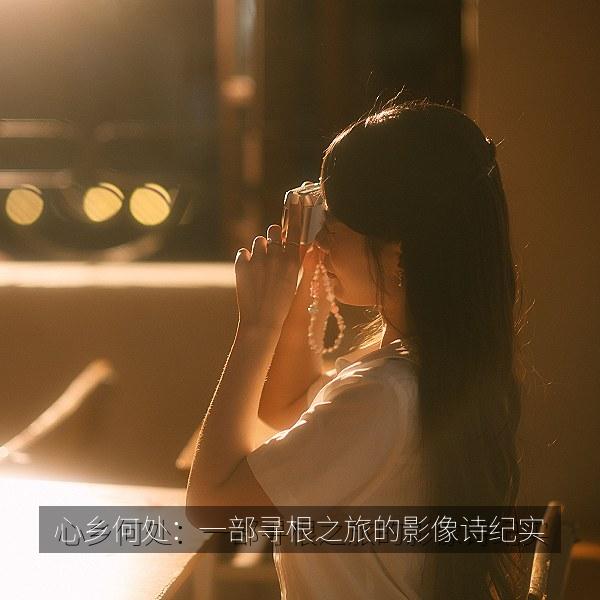 心乡何处：一部寻根之旅的影像诗纪实 海报