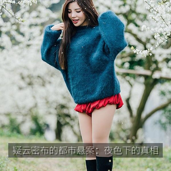 疑云密布的都市悬案：夜色下的真相
