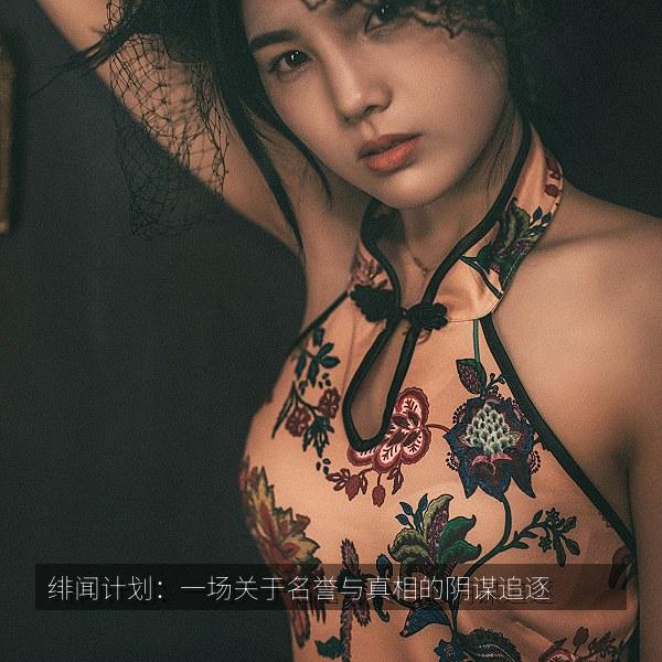 绯闻计划：一场关于名誉与真相的阴谋追逐 海报