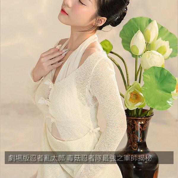 劇場版忍者亂太郎 毒菇忍者隊最強之軍師揭秘 封面