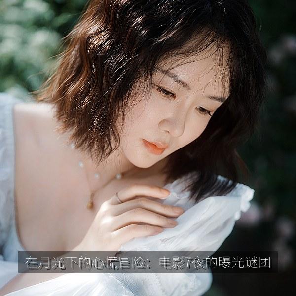 在月光下的心慌冒险：电影7夜的曝光谜团 海报