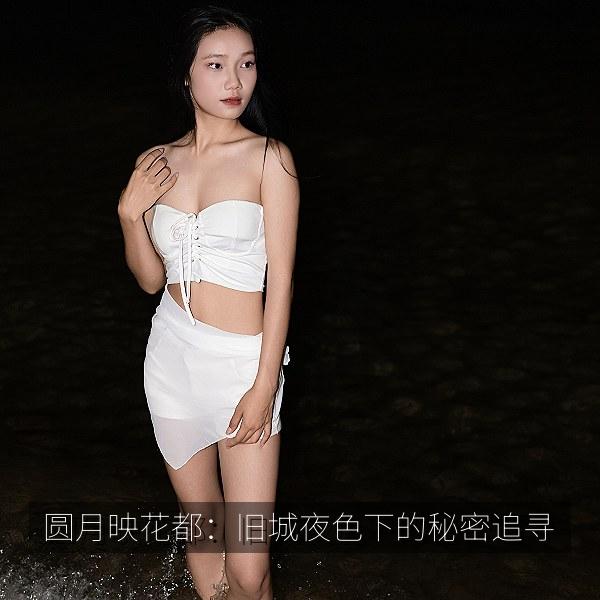 圆月映花都：旧城夜色下的秘密追寻 海报